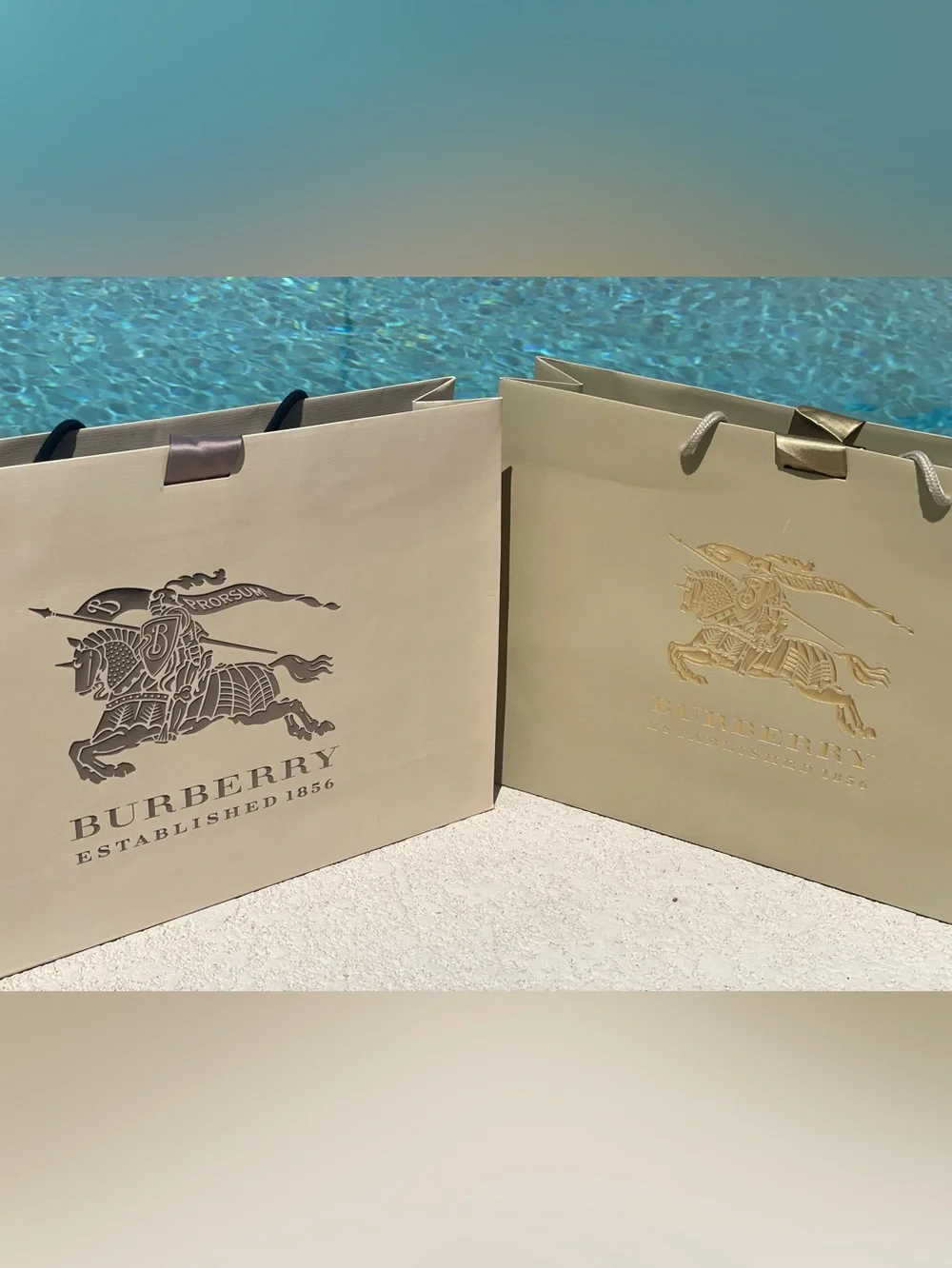 Burberry Equestrian Knight Prorsum Large Luxury Shopping Bags Set of 2